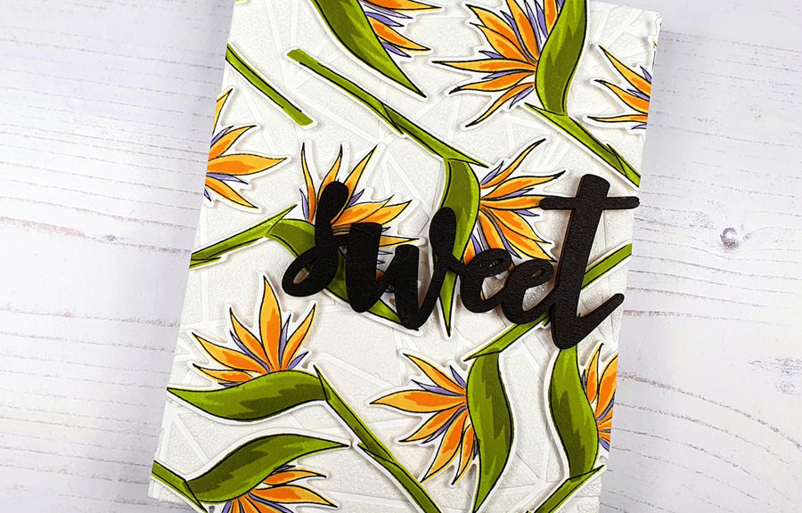 All Over Stamped Die-Cut Backgrounds Class class schedule