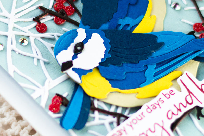 Holiday Card with Tit Birds: A Winter Scene Full of Charm and Sparkle