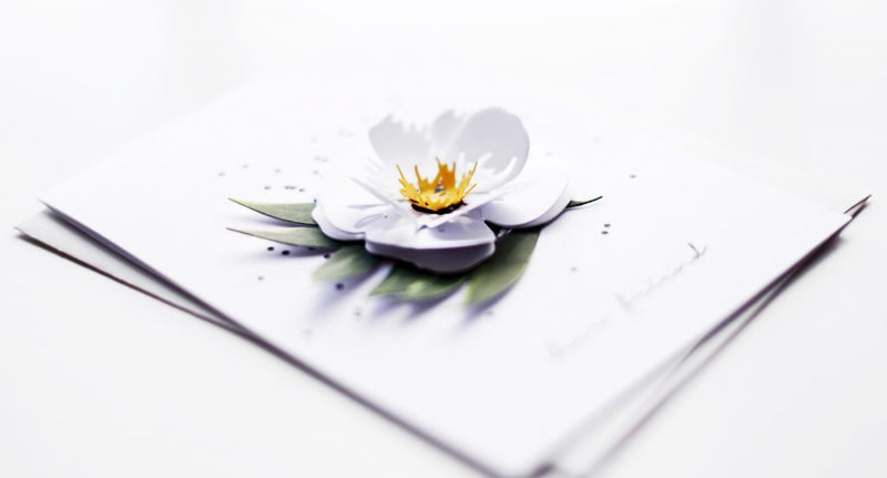 Clean and Simple Card with Hibiscus Garden 3D Die Set