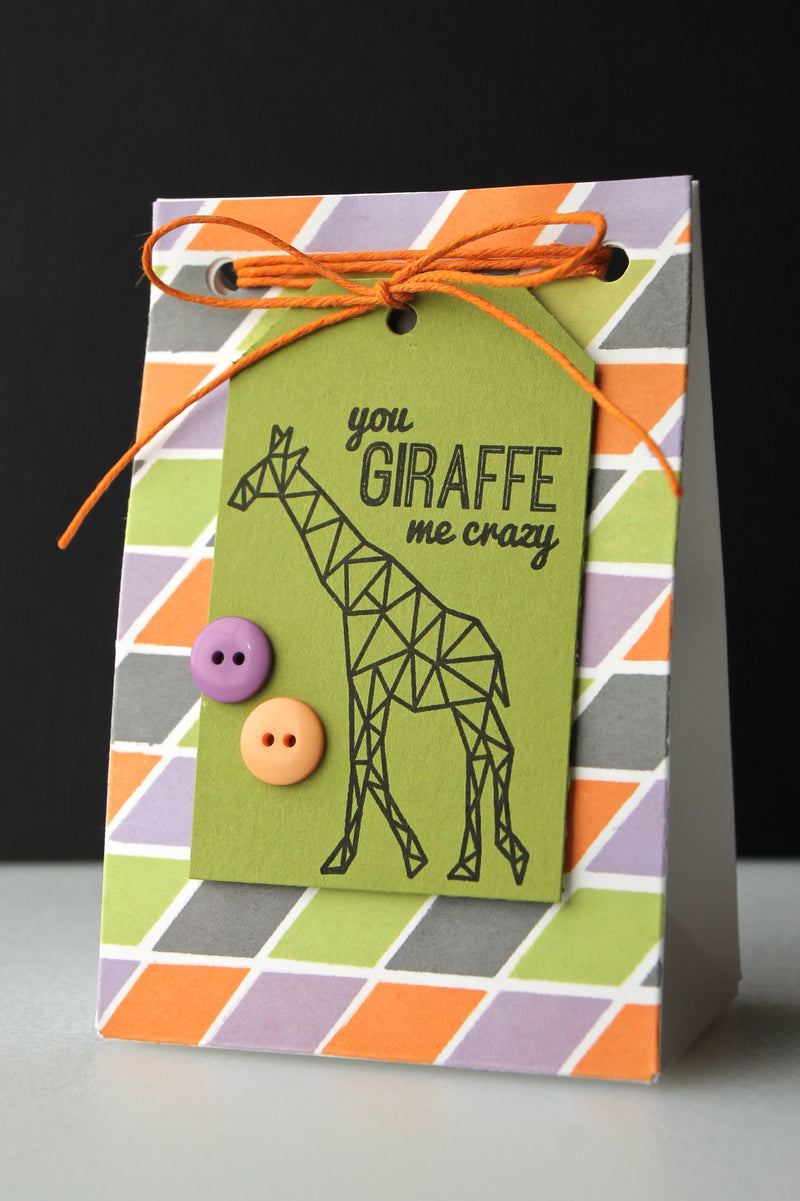 Guest Designer: Jayne Nelson