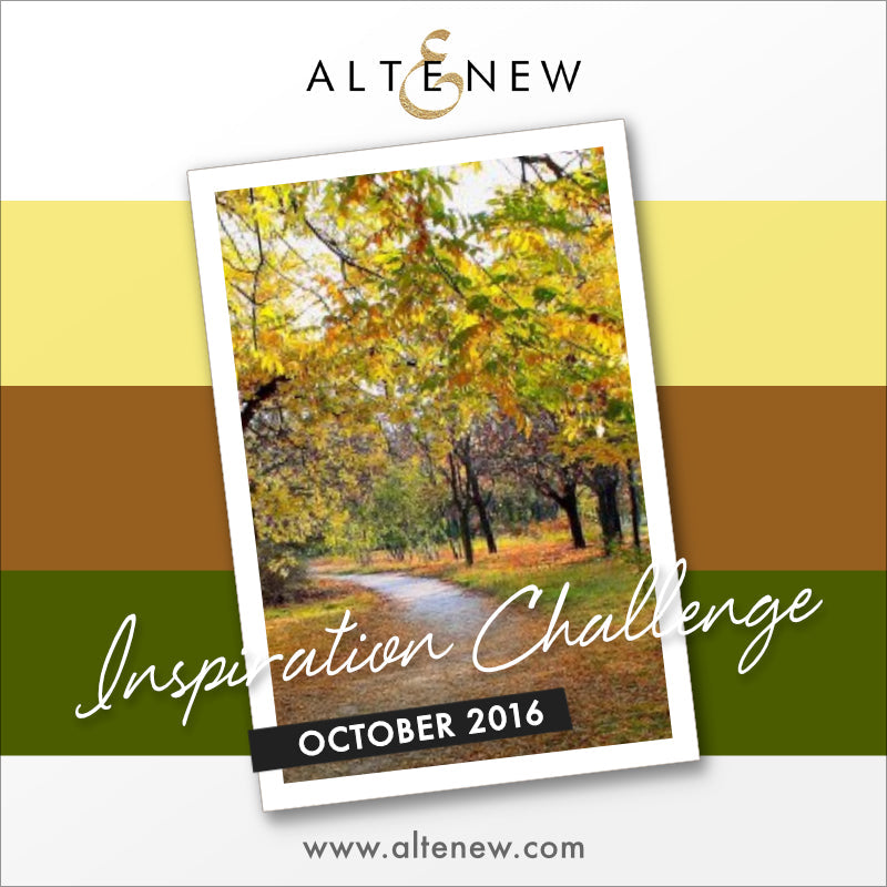 October 2016 Inspiration Challenge