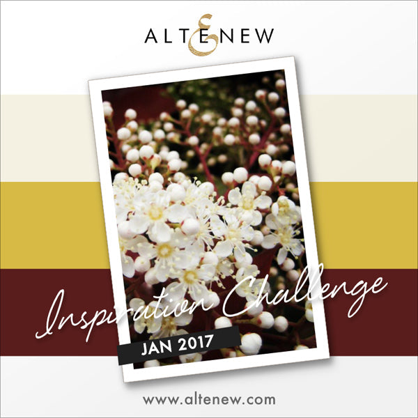January 2017 Inspiration Challenge