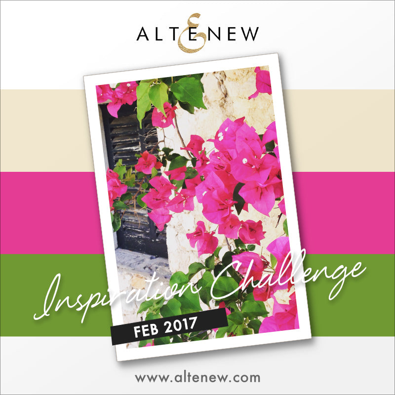February 2017 Inspiration Challenge