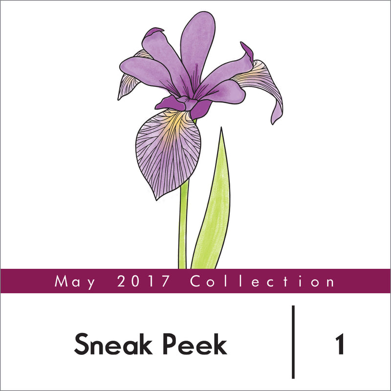 May 2017 Release Sneak Peek Day 1