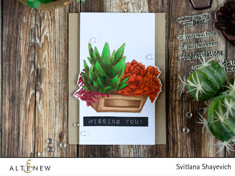 Succulents In A Crate