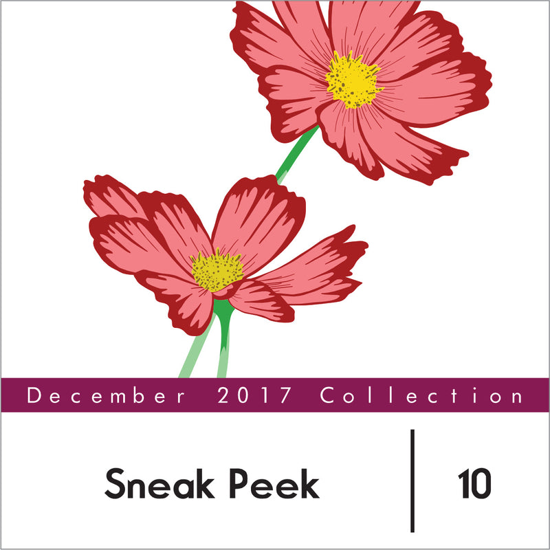 December 2017 Sneak Peek Day 2