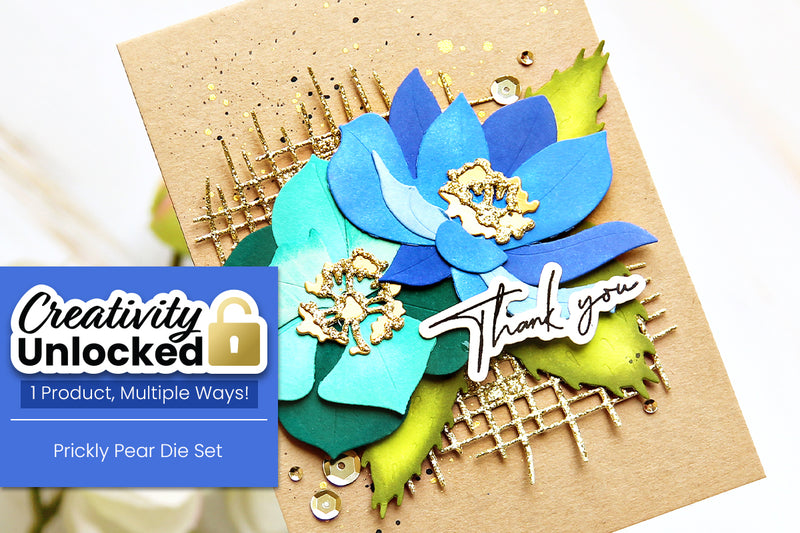 Creativity Unlocked feat. Prickly Pear | Creative Coloring with Erum