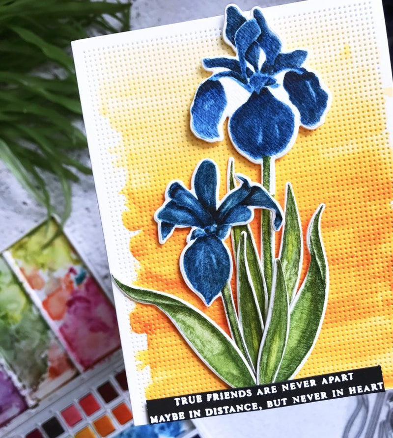 No-Line Watercoloring with Enchanted Iris