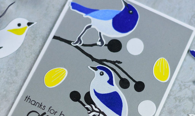 Stamp Focus: Birds of a Feather