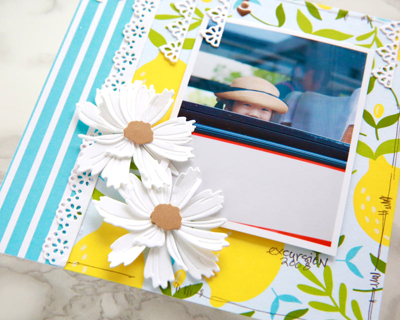 Quick and Easy 6 x 6 -inch Scrapbooking Layout with 3D Floral Dies