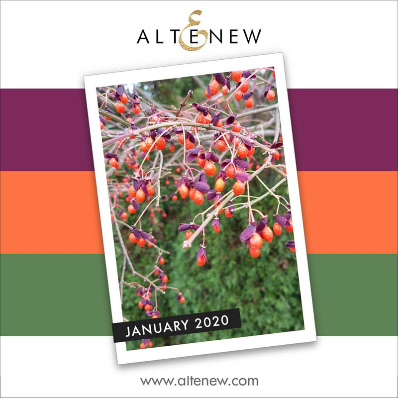 Get Inspired by Nature! January 2020 Inspiration Challenge
