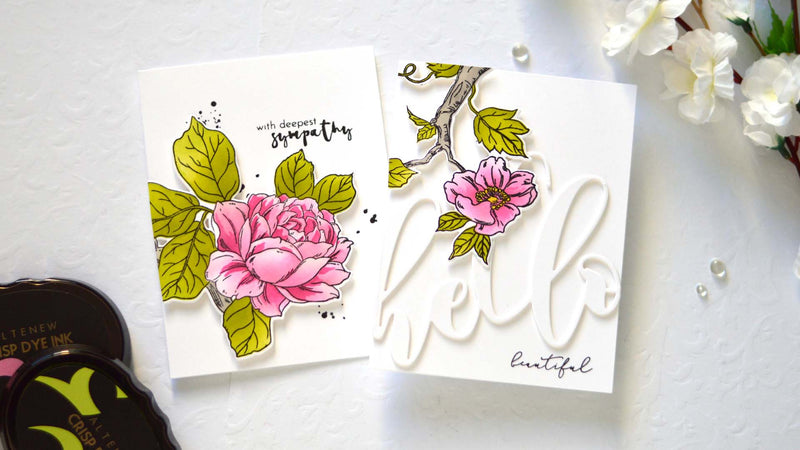 How to Make 2 Beautiful Floral Cards with One Stamp | Take 2 with Therese (with Video Tutorial!)