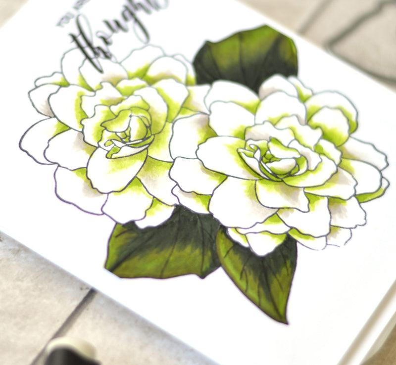 Take 2 with Therese: Bouquet 2 Ways + Video!