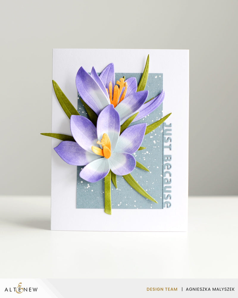 Simple and Beautiful Just Because Card with Craft-A-Flower: Crocus Layering Die Set