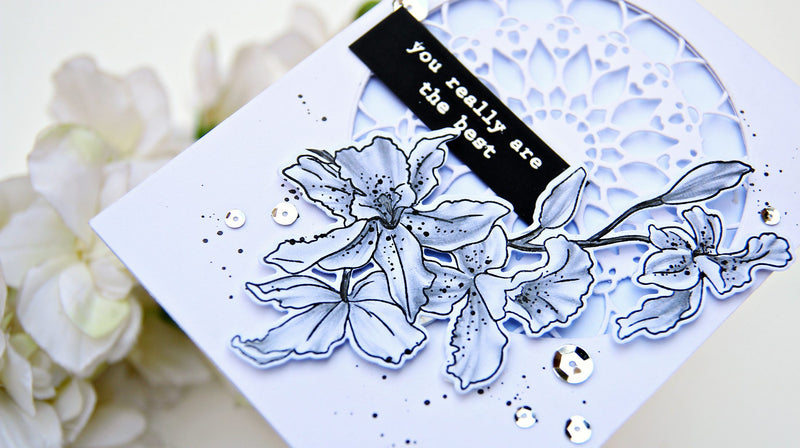 Creative Coloring with Erum: Pencil Shading on Cattleya