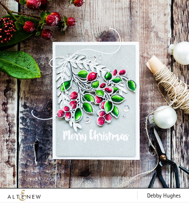 Winter Berries