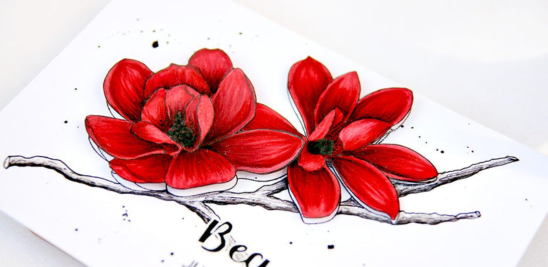 One Layer Card with Magnolias For Her