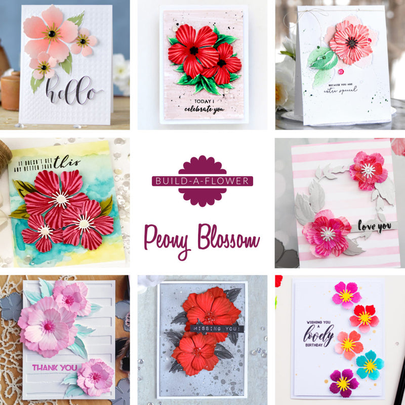 Build-A-Flower: Peony Blossom Release Giveaway Winners