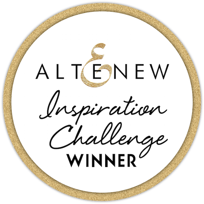 March 2019 Inspiration Challenge Winners