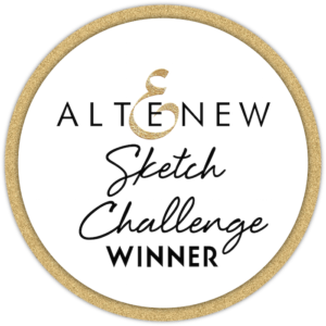 Sketch Challenge #14 Winners