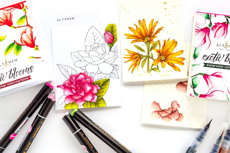 Best Watercolor Book for Beginners