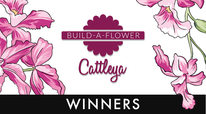 Build-A-Flower: Cattleya Release Giveaway Winners