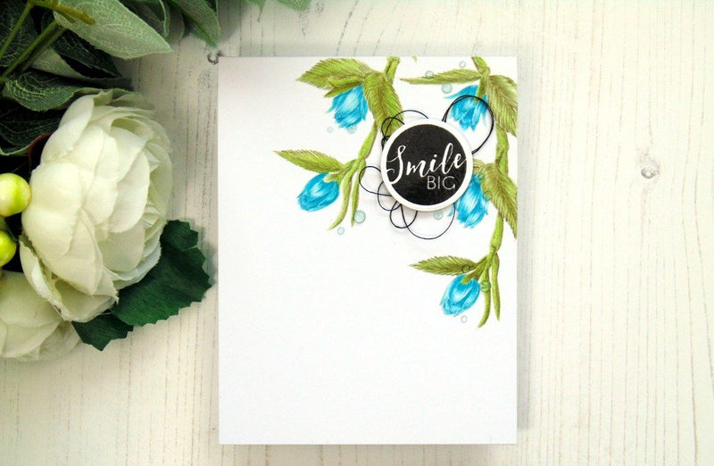 Stamp Highlight: Circled Sentiments + 35% OFF Sale