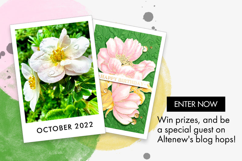 October 2022 Inspiration Challenge | Birthday Card with a Bold Background