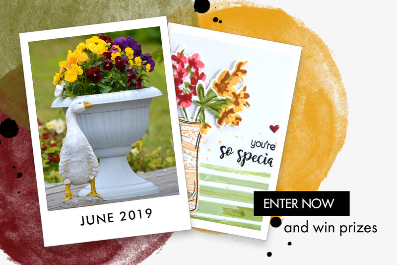 June 2019 Inspiration Challenge