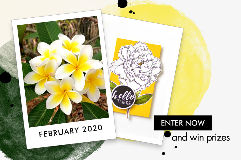 From Nature to the Page: February 2020 Inspiration Challenge and Video!