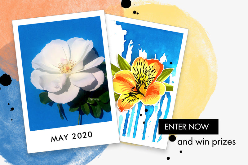 May 2020 Inspiration Challenge