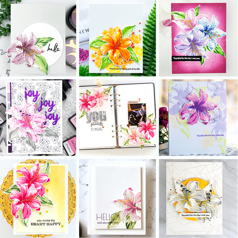 Build-A-Flower: Stargazer Release Giveaway Winners