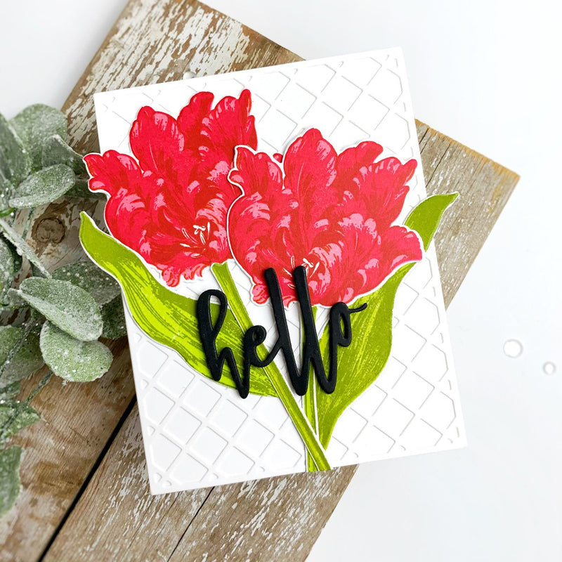 Quick and Easy Cards with a POP of Color!