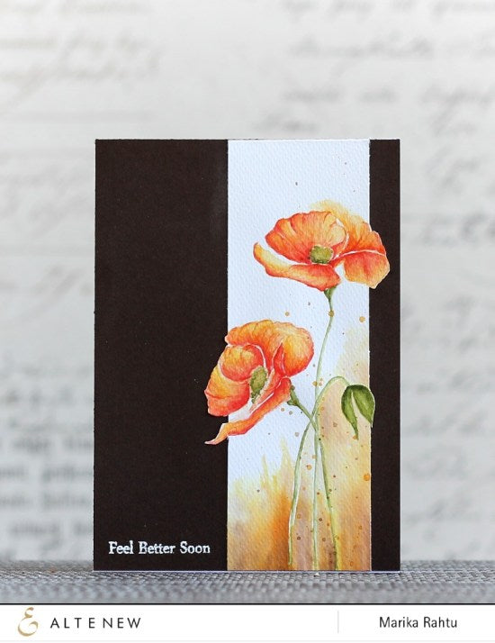 A watercoloured Poppy