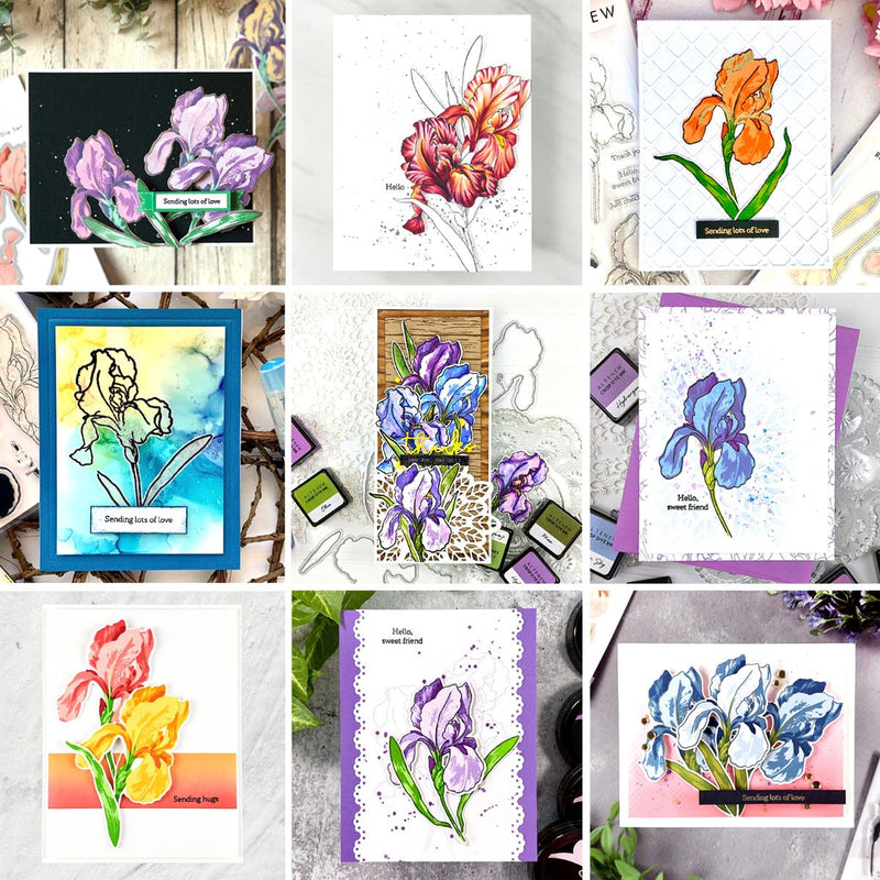 What Special Crafty Surprises Did You Miss This Month? July Subscription Highlights
