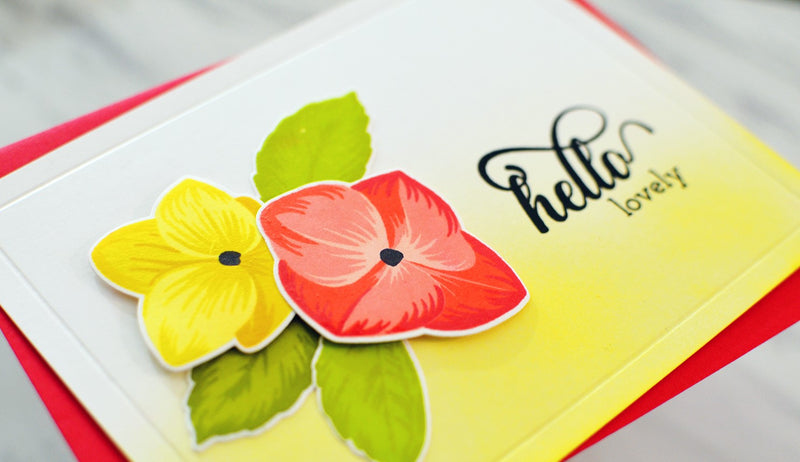 May 2019 Stamp/Die/Stencil/Ink/Enamel Pin Release Blog Hop + Giveaway!