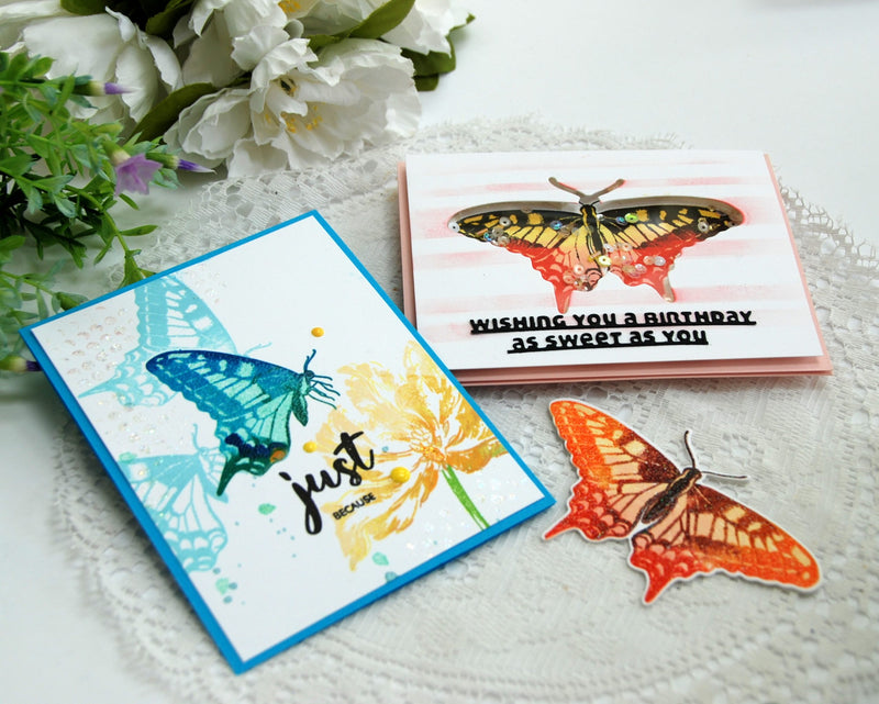 A Mini Study of Dovetail Butterflies