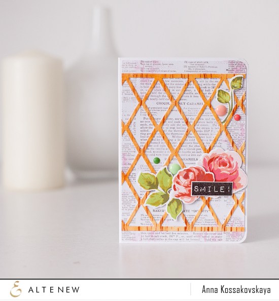 Passport Cover + Video