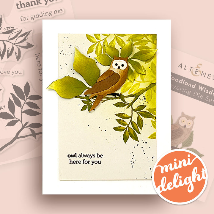 Mini Delight Monthly Subscription Plan