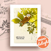 Mini Delight Monthly Subscription Plan