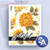 Stencil Art Bi-Monthly Subscription Plan