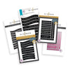 Solid Sentiments Starter Bundle - Altenew