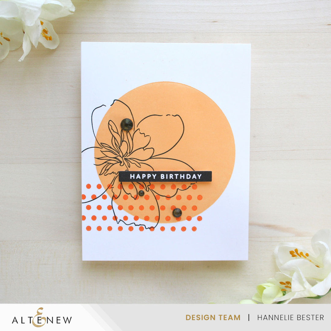 Solid Sentiments Starter Bundle - Altenew