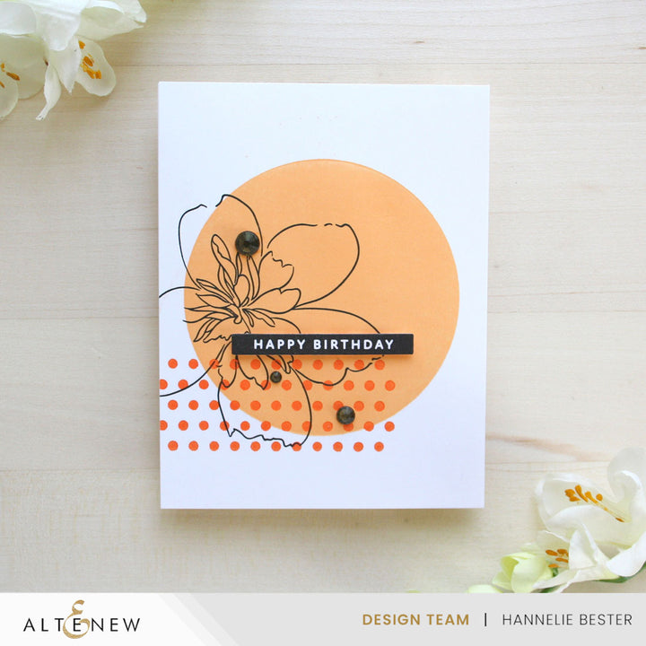 Solid Sentiments Starter Bundle - Altenew