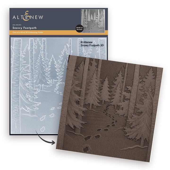Snowy Footpath 3D Embossing Folder - Altenew