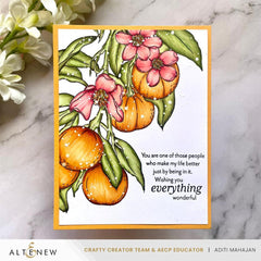 Cottage Garden Artist Alcohol Ink Set N Bundle