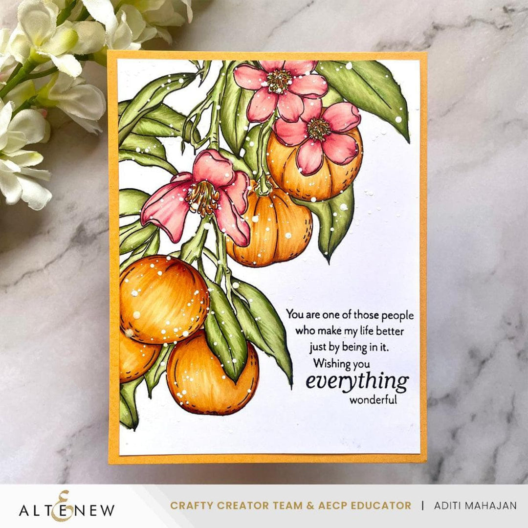 Cottage Garden Artist Alcohol Markers Set & Alcohol Ink Bundle