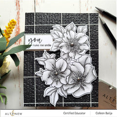 Shangzhi Pearl Pen Industry Co.,Ltd Art Materials Monochrome Shading Pencils