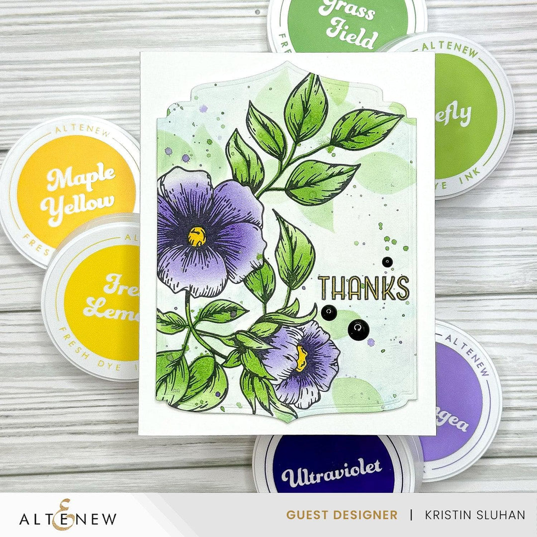 July 2024 Betterpress Plates Release Bundle