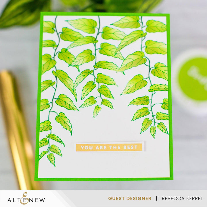 July 2024 Betterpress Plates Release Bundle